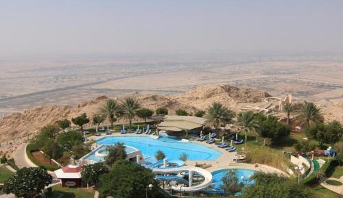 Superior Double Room with Pool View