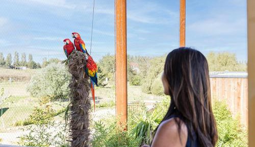 Pantanal Lodge - Disability Access 