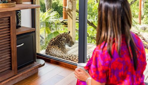 Jaguar Lodge