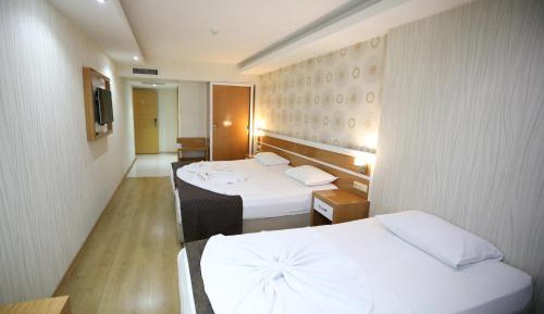 Basic Triple Room