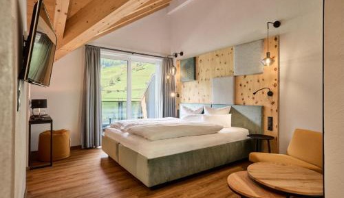 Double Room with Mountain View