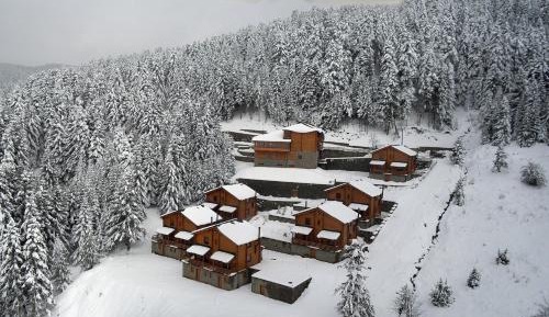 Two-Bedroom Chalet