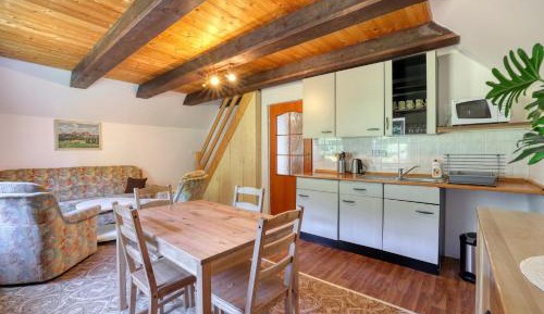 Duplex Apartment