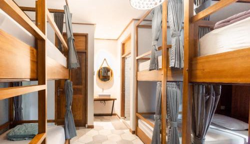 Bed in 6-Bed Mixed Dormitory Room