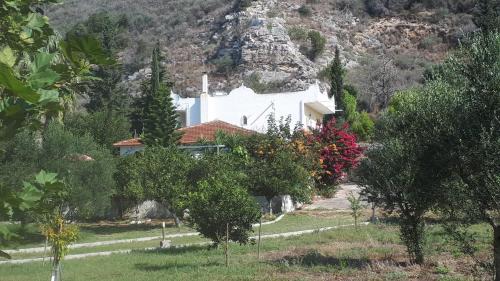 Four-Bedroom Villa