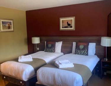 Executive Twin Room