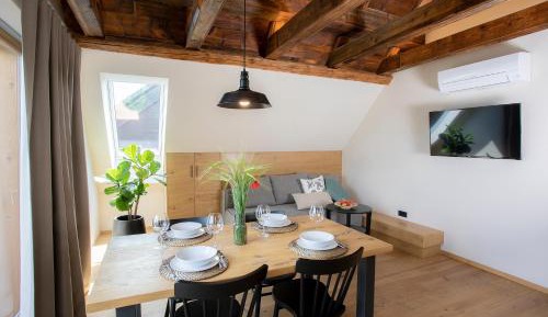 One-Bedroom Apartment with Mountain View