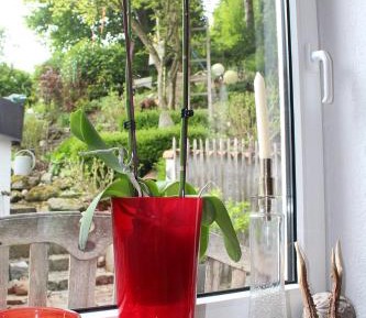 Studio with Garden View