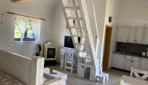 Apartment with Gallery