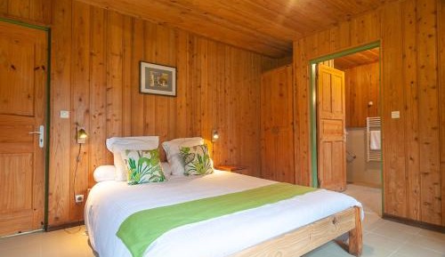 Double Room with Mountain View
