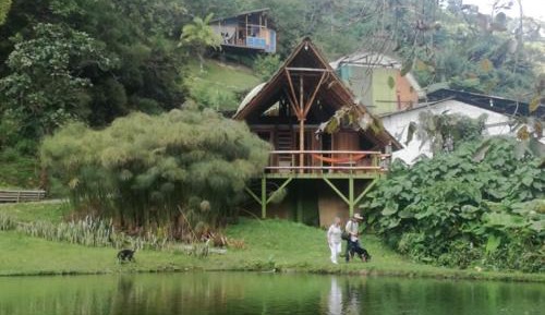 Family Bungalow