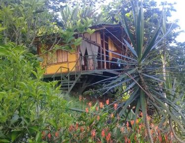 Family Bungalow