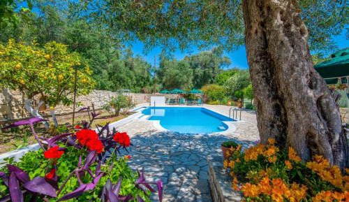 Studio with Pool View
