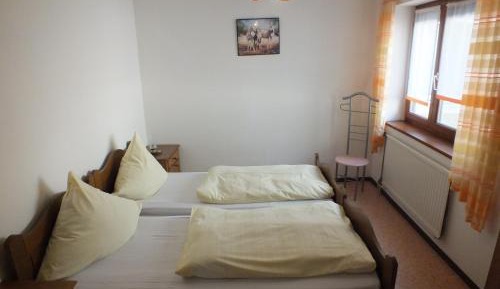 Apartment (4 Adults)