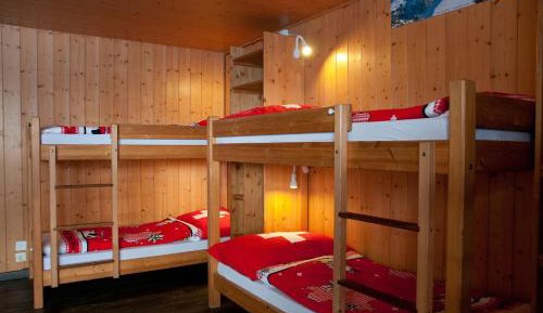 Single Bed in Dormitory Room