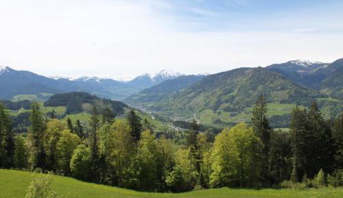 Double Room with Mountain View