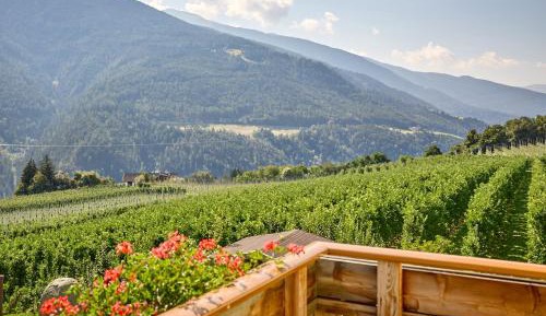 One-Bedroom Apartment with Mountain View