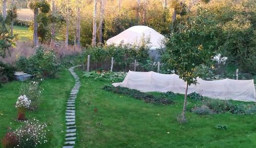 Tent
