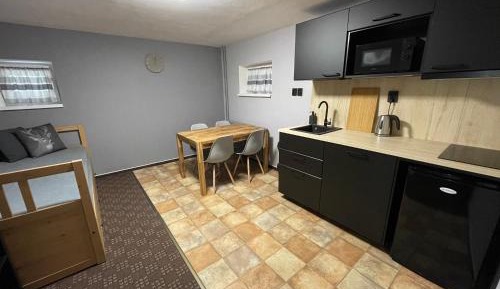One-Bedroom Apartment (4 Adults)