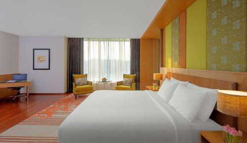 Junior Suite with King bed, Bath tub, free Wi-fi, 1 way airport transfer