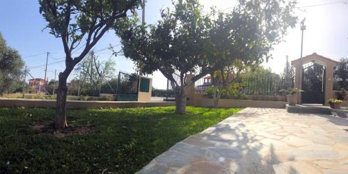 Studio with Garden View