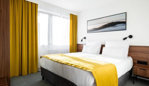 Deluxe One-Bedroom Apartment
