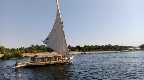 Boat 6