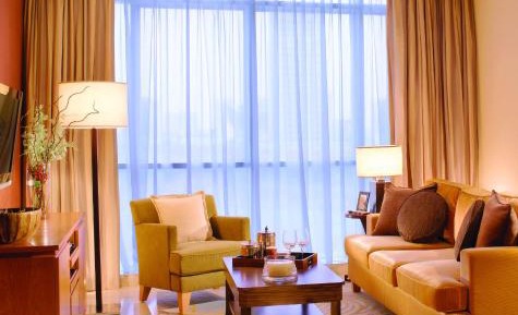 Deluxe One-Bedroom Apartment