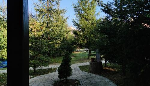 Standard Twin Room with Garden View