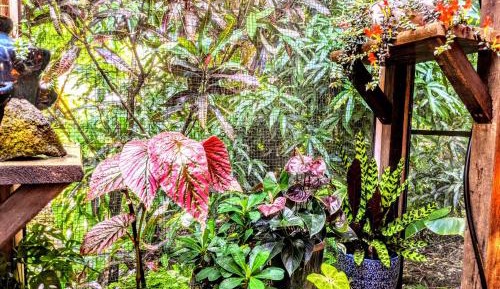 Double Room with Garden View