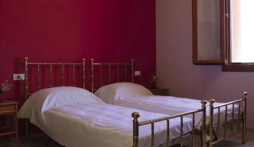 King Room with Roll-In Shower - Disability Access