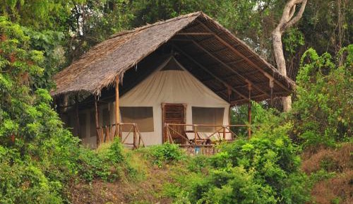 Standard Tent