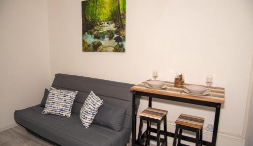 Studio with Sofa Bed