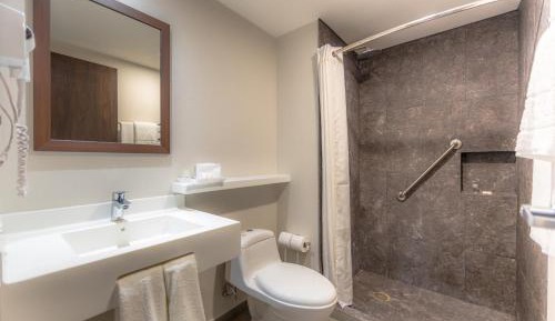 Standard Double Room with Two Double Beds - Non Smoking