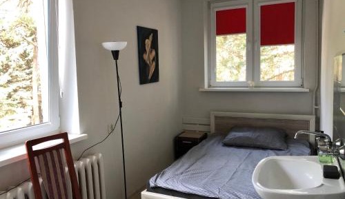 Double Room with Shared Bathroom