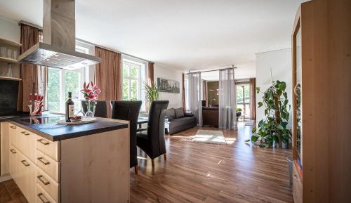 Deluxe Apartment