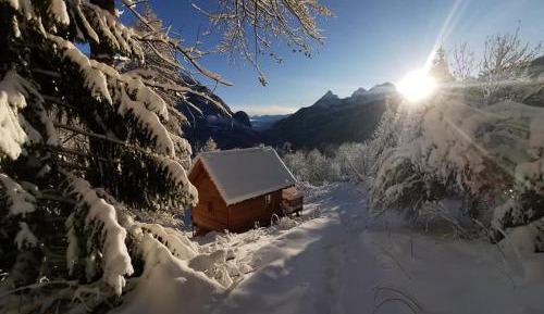 Chalet (4 Adults)