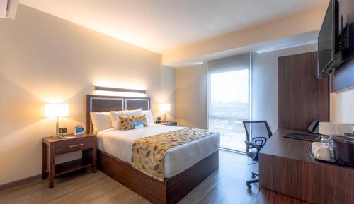 Standard Queen Room - Non Smoking