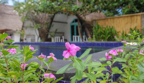 Double Room with Pool View