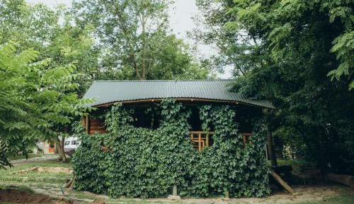 Family Bungalow