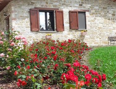 Apartment with Mountain View