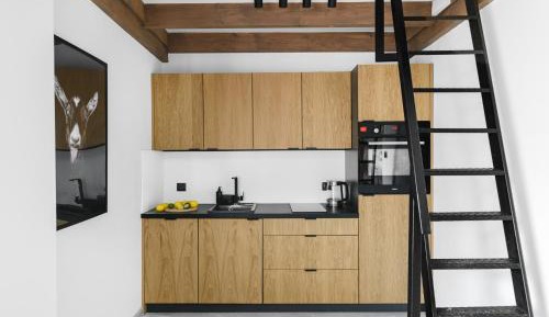 Duplex Apartment