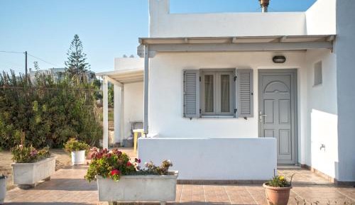 Studio with Garden View
