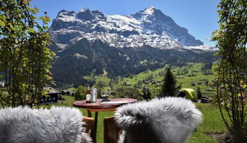 Superior Double Room Enzian with Eiger view and garden access