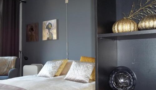 King Room with Roll-In Shower - Disability Access