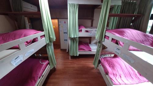 Bunk Bed in Female Dormitory Room  