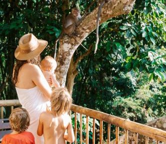 2 - Story Treehouse