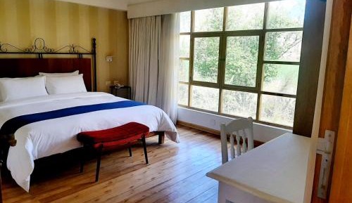 Premium King Room