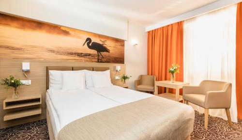 Standard  Double Room