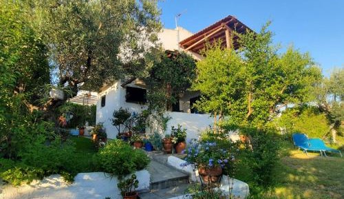 Deluxe Villa